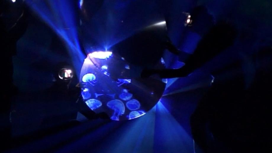 Verne LAVA Valladolid