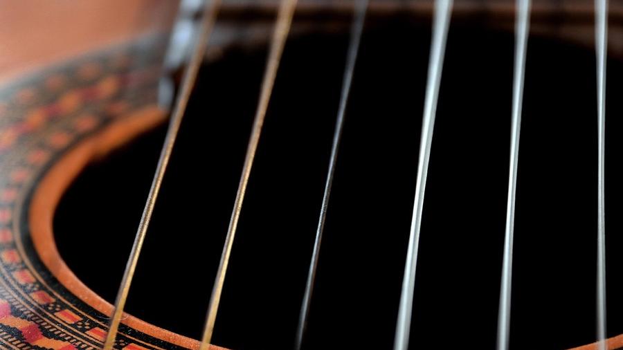 plectro