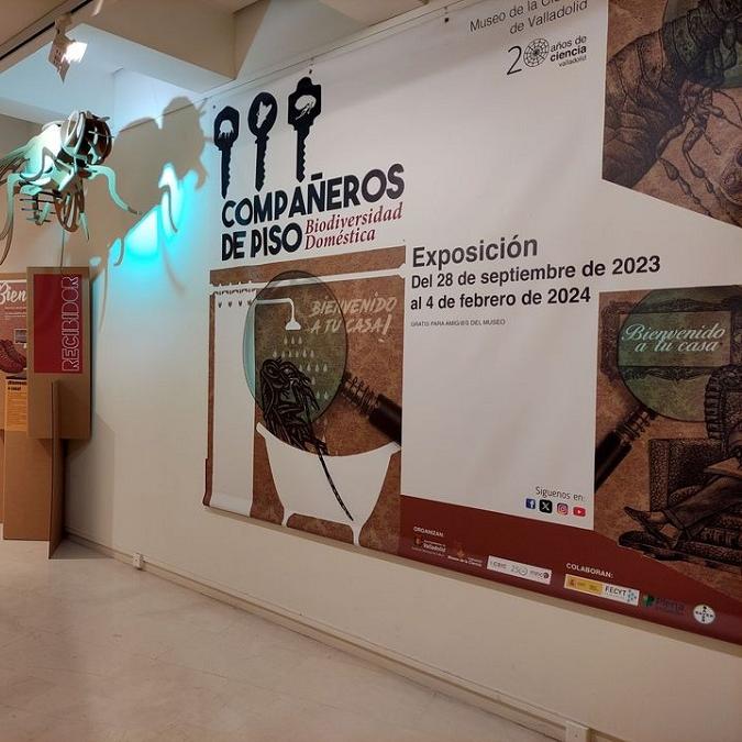 Exposición en el Museo de la Ciencia