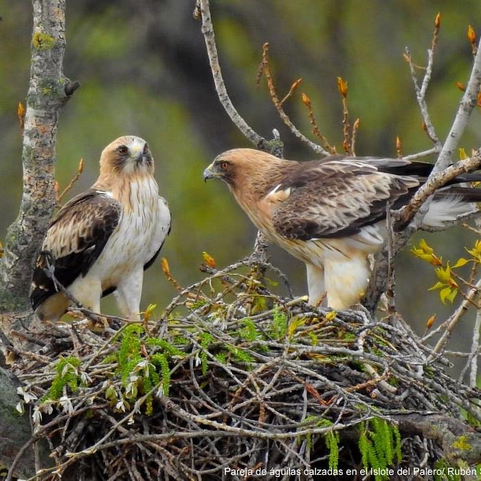 Día Mundial del Medio Ambiente
