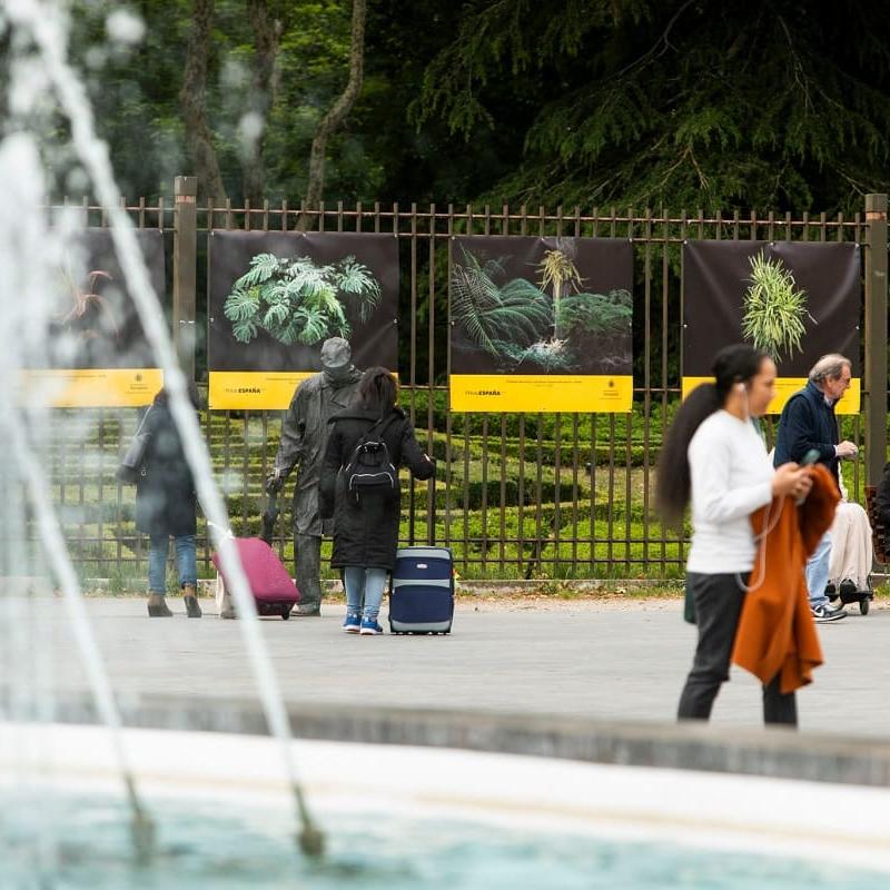 PhotoESPAÑA en verja exterior campo grande