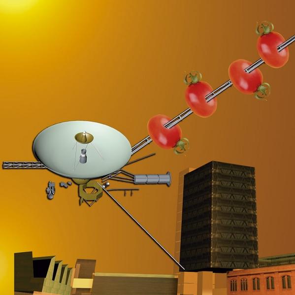 Imagen concurso con un toque de saber