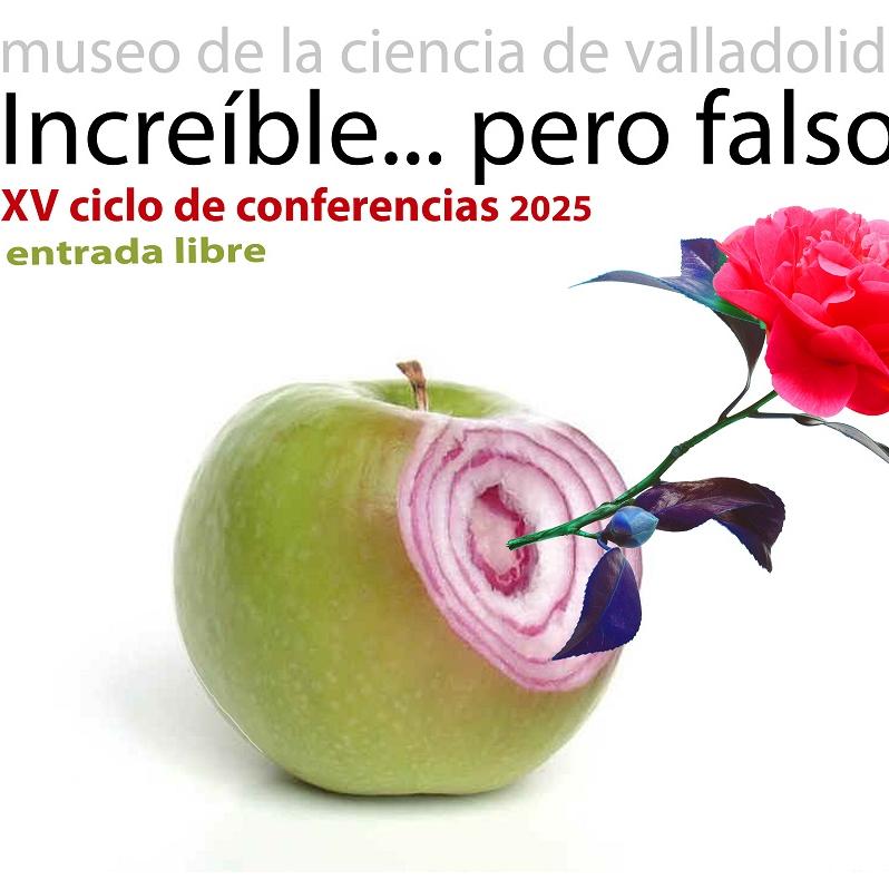 ciclo increible pero falsso