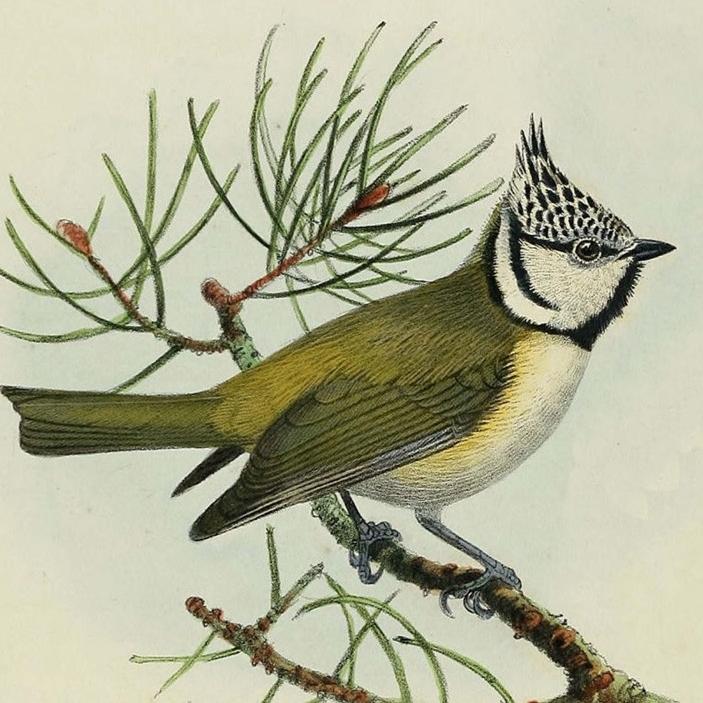 Escuela de verano Museo de la Ciencia