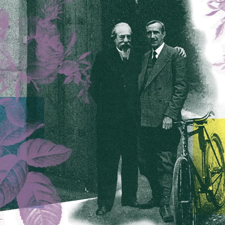 Programa de verano casa zorrilla