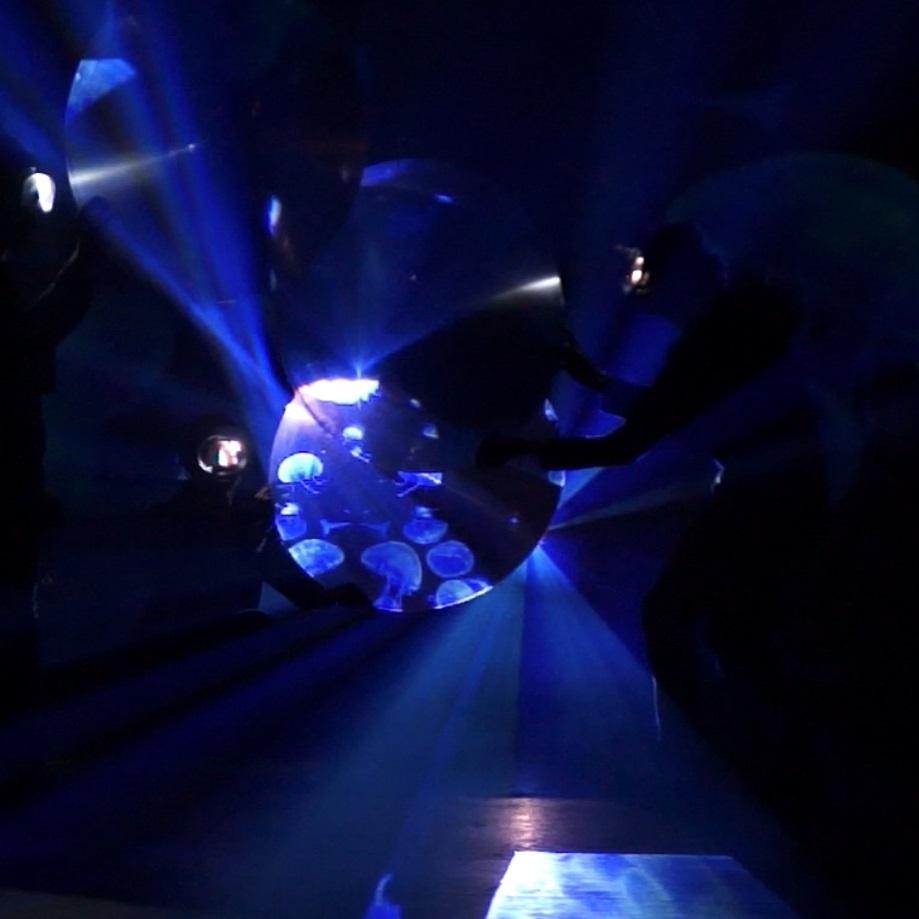 Verne LAVA Valladolid