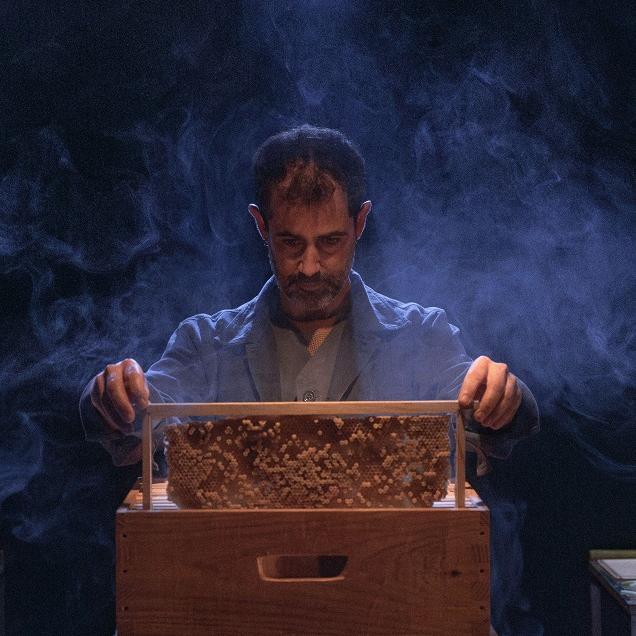 Carlos Gallardo Cera 500 horas de vuelo 