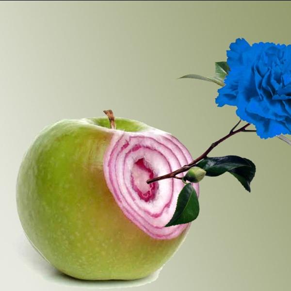 Increible pero falso 2026