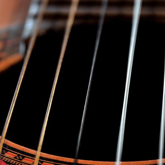 plectro