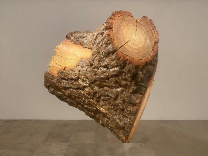 Imagen exposición Árbol