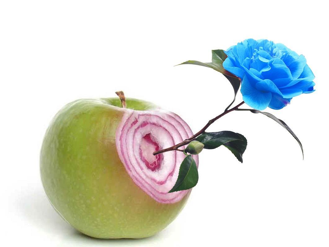 Cartel increíble pero falso 