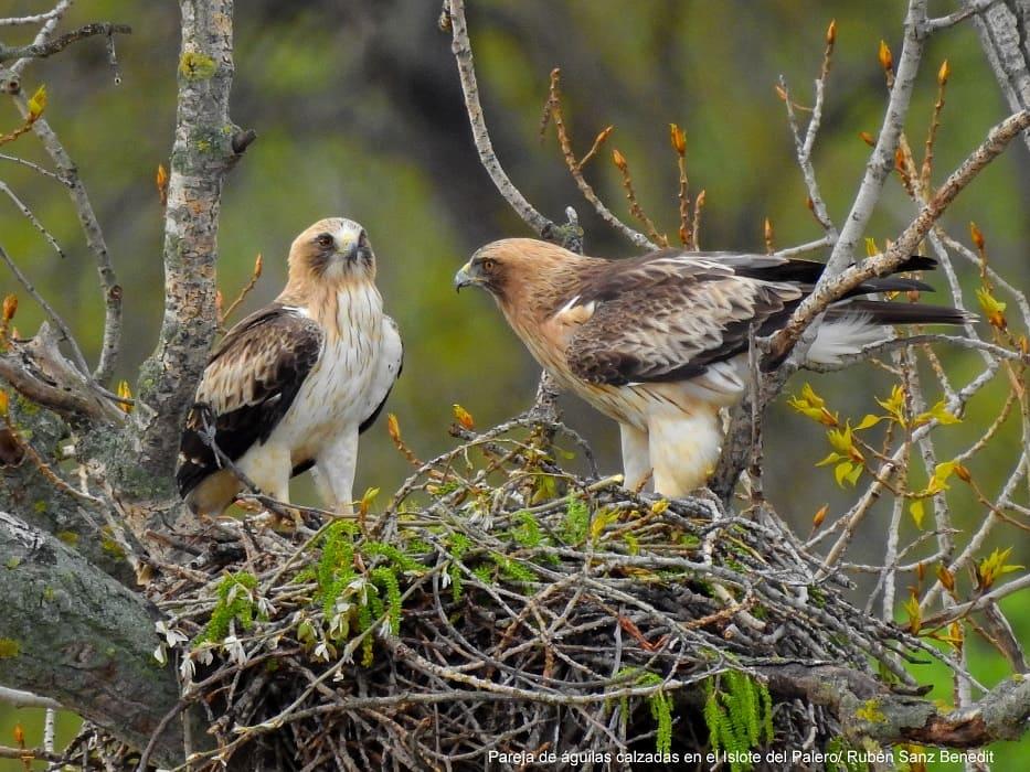 Día Mundial del Medio Ambiente