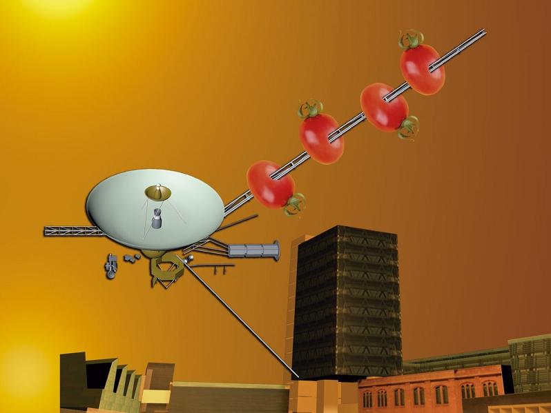 Imagen concurso con un toque de saber