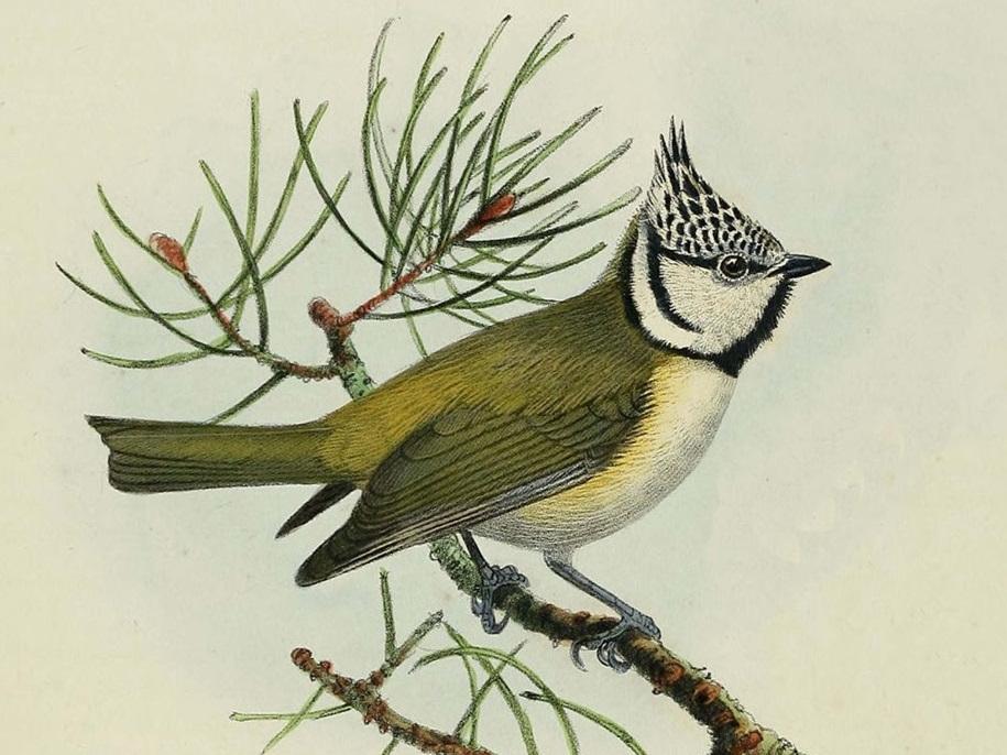 Escuela de verano Museo de la Ciencia