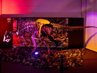 Gigantes de la Patagonia Museo de la Ciencia