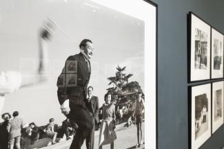 La lucidez en la mirada