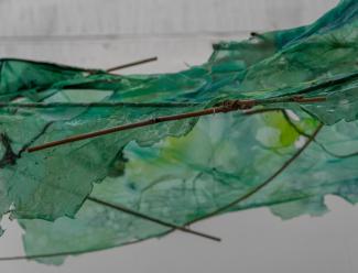 Exposicion Esther Gatón museo patio herreriano